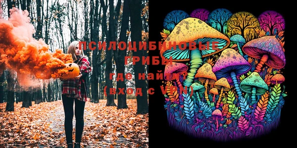 прущая мука Армянск