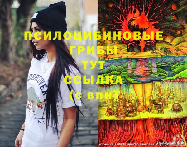 дмт Арсеньев