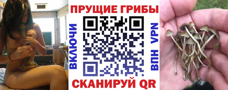 Галлюциногенные грибы Cubensis  купить наркотик  Очёр 